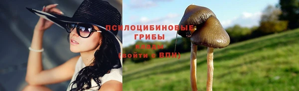 PSILOCYBIN Алексеевка