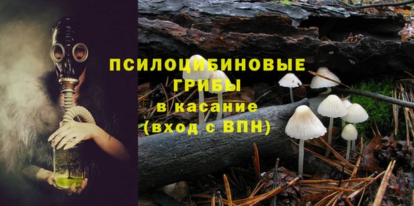 шишки Алзамай