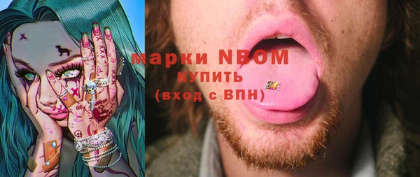шишки Алзамай