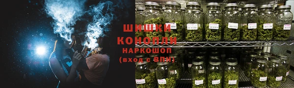 PSILOCYBIN Алексеевка