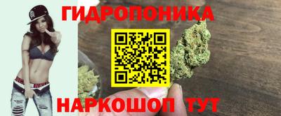 PSILOCYBIN Лесосибирск