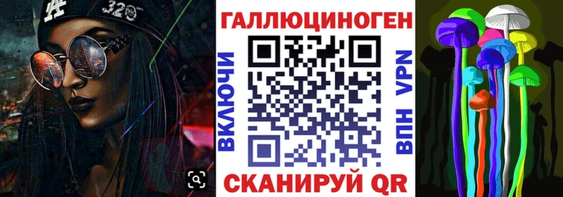 где купить наркоту  Камень-на-Оби  Галлюциногенные грибы Cubensis 